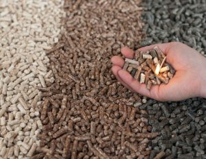 pellet